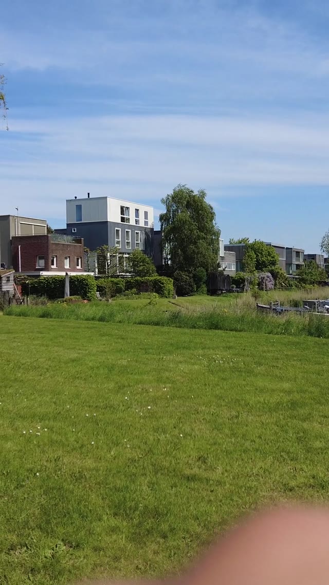 using smartphone · park by a river