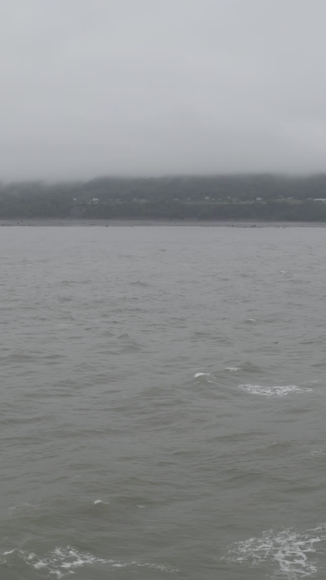 viewing landscape · coastal area with fog