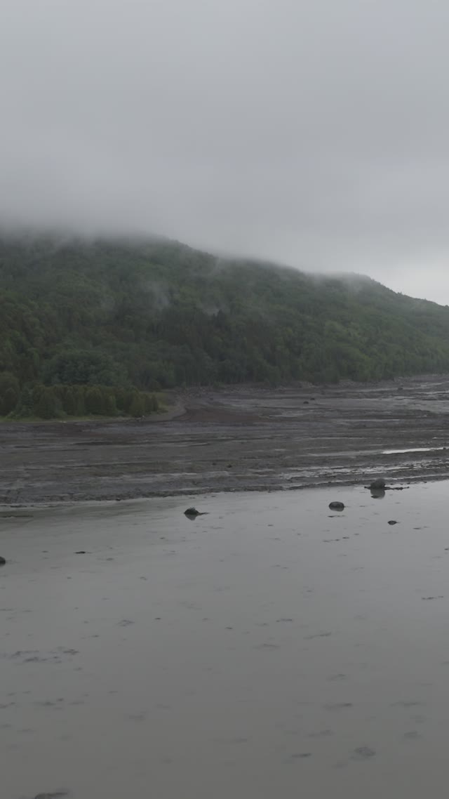 landscape observation · coastal area with fog