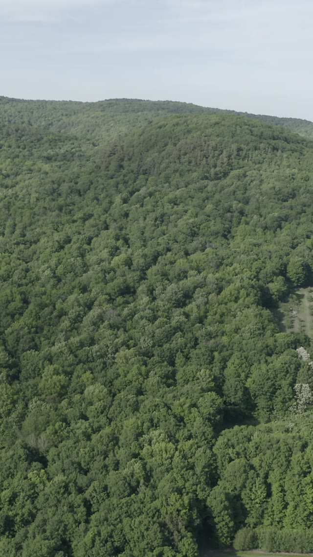 aerial landscape view · lush green hills and orchards
