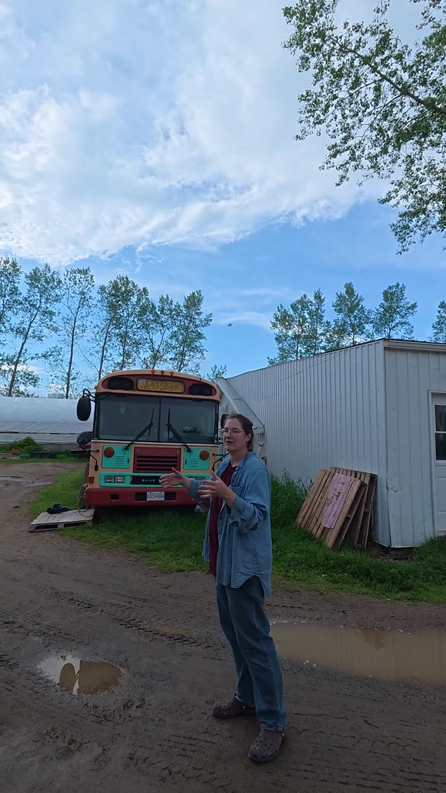 discussing something · outdoor area near a bus