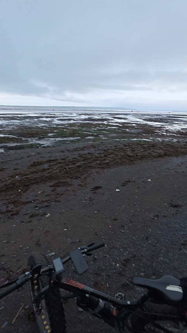 biking on beach · coastal area with mudflats