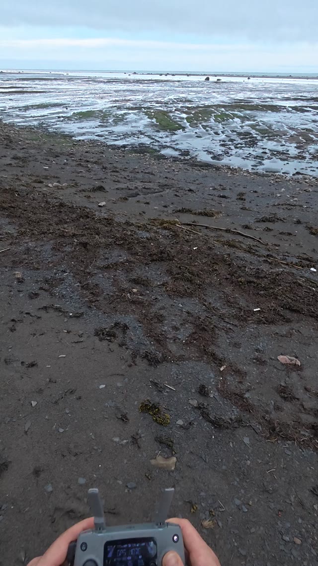 walking along shore · beach with mud and water