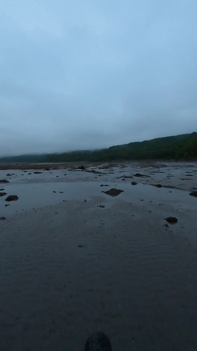 exploring shoreline · coastal area with rocks