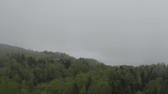 scenic landscape view · foggy forested area near water