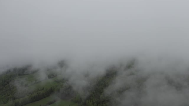 aerial landscape view · foggy forested area